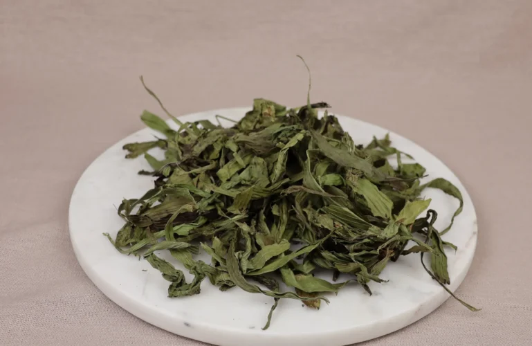 babka-lancetowata-dla-gryzoni-krolikow