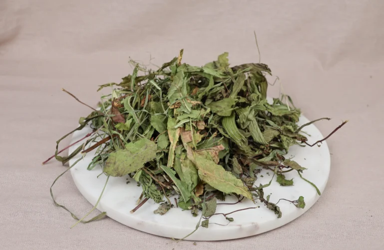 bukiet-ziolek-dla-gryzoni-krolikow