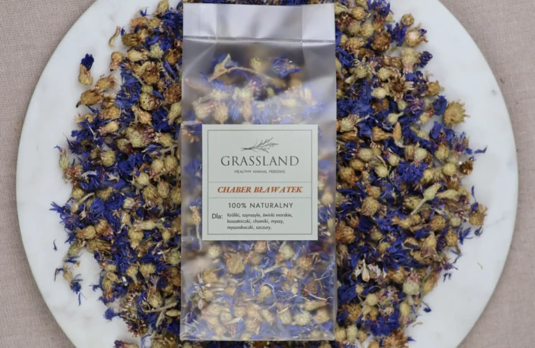 chaber-blawatek-dla-gryzoni-krolikow