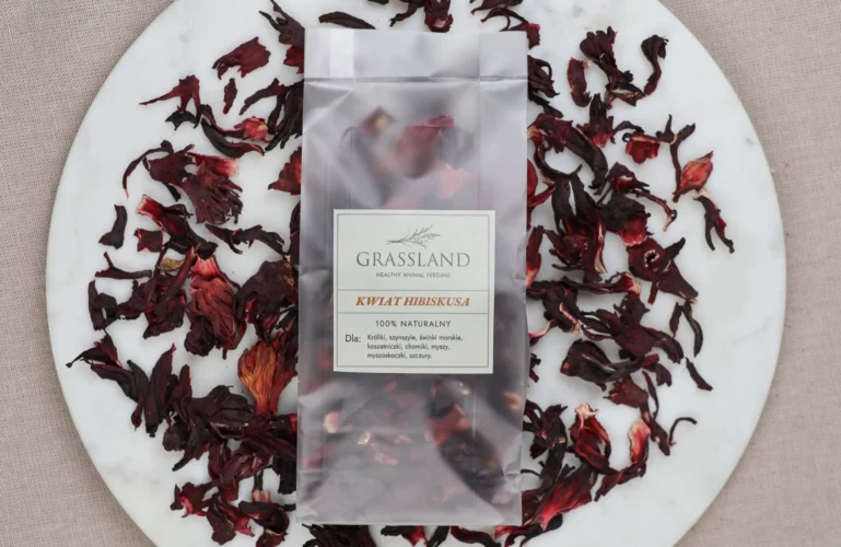 kwiat-hibiskusa-dla-gryzoni-krolikow