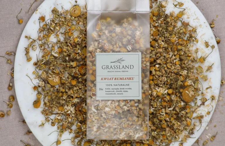 kwiat-rumianku-dlagryzoni-krolikow