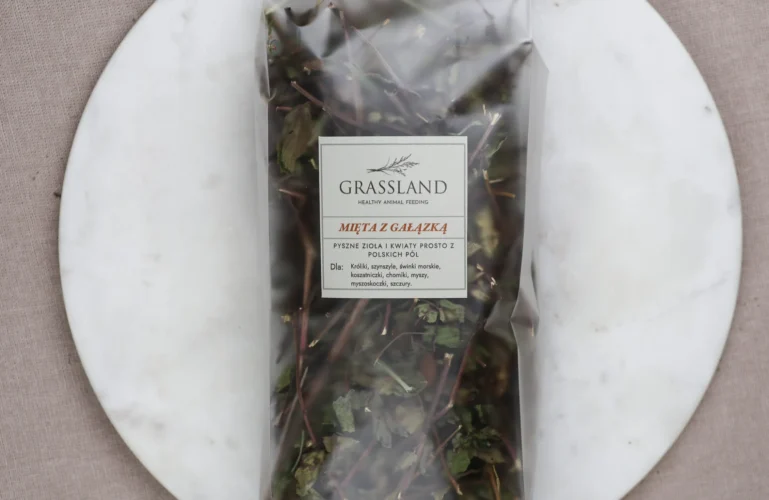 mieta-dla-gryzoni-krolikow