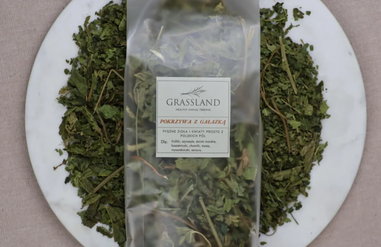 pokrzywa-dla-gryzoni-krolikow